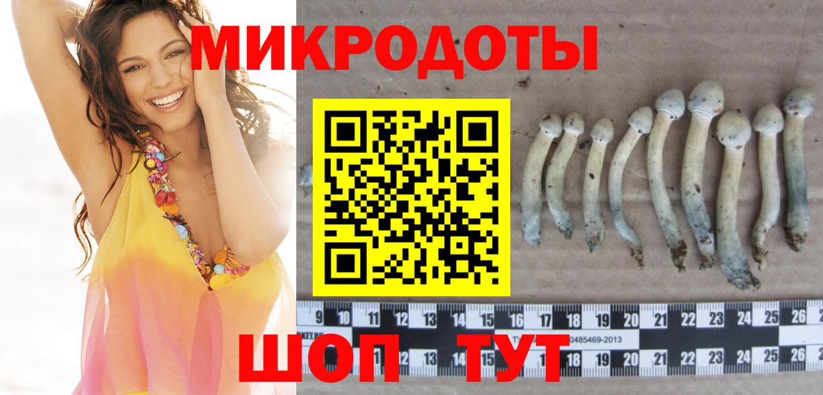 Галлюциногенные грибы Cubensis Лесной
