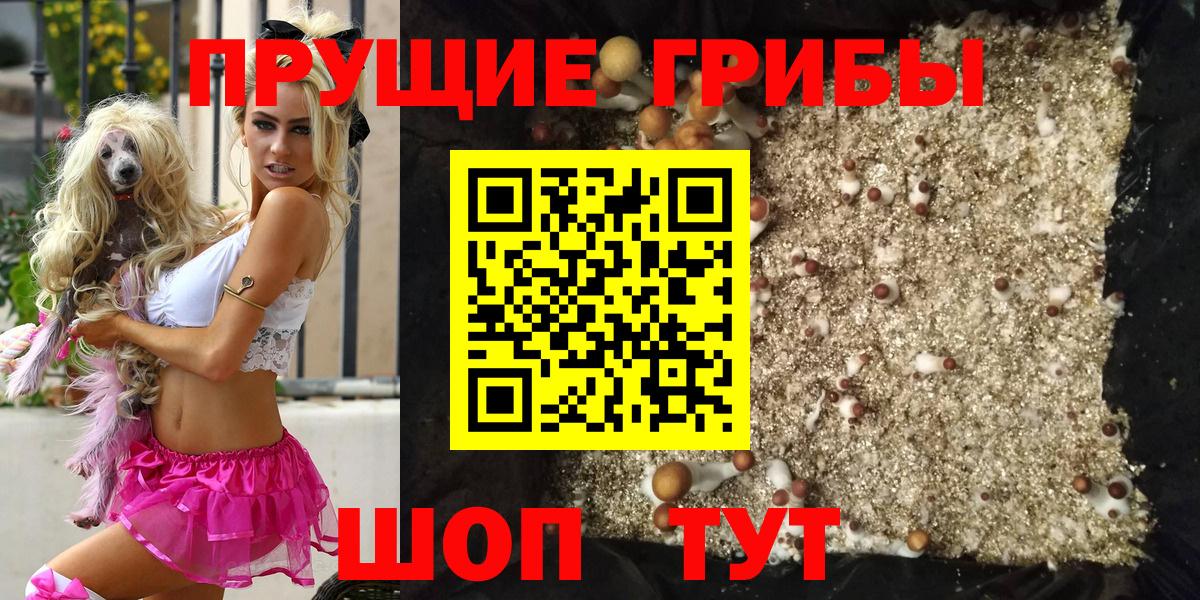Галлюциногенные грибы мухоморы  Вход с VPN  Лесной 